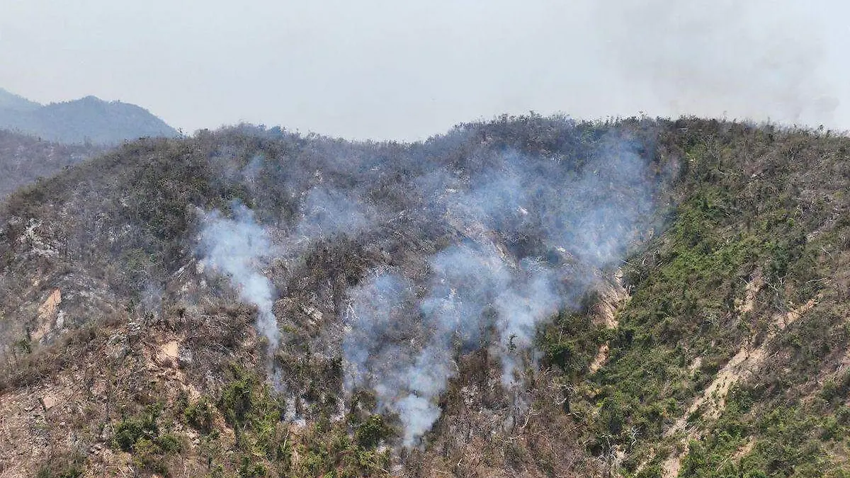 incendio-parque-veladero-acapulco-2