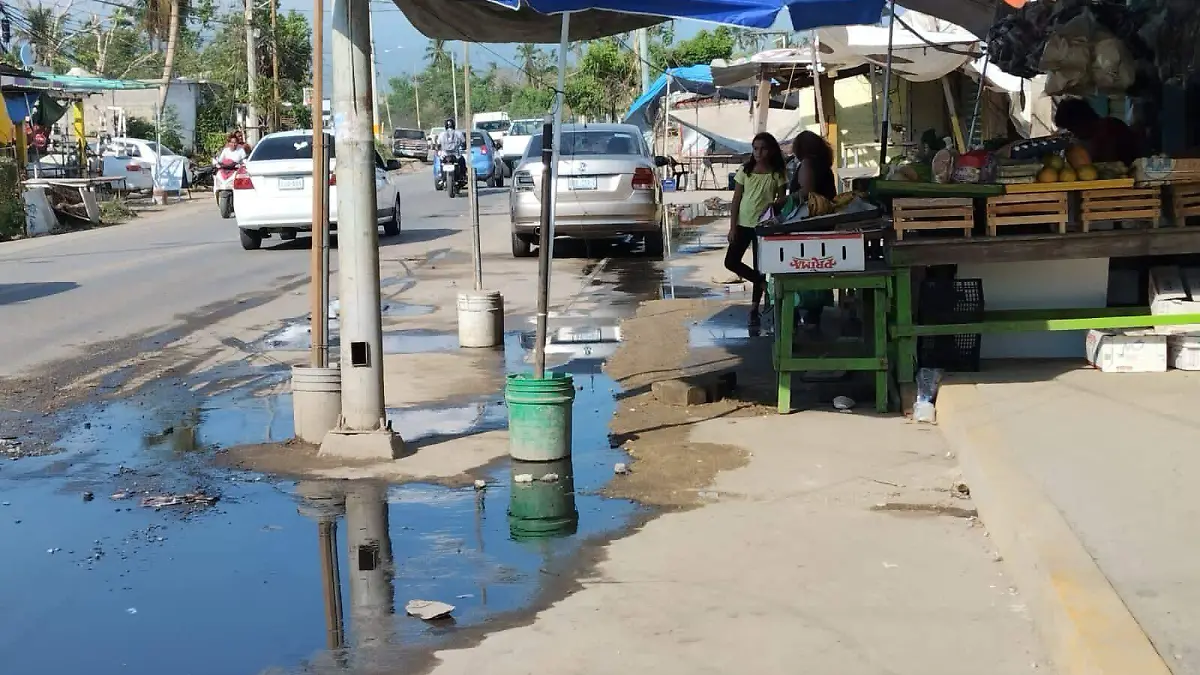 Brote de aguas negras