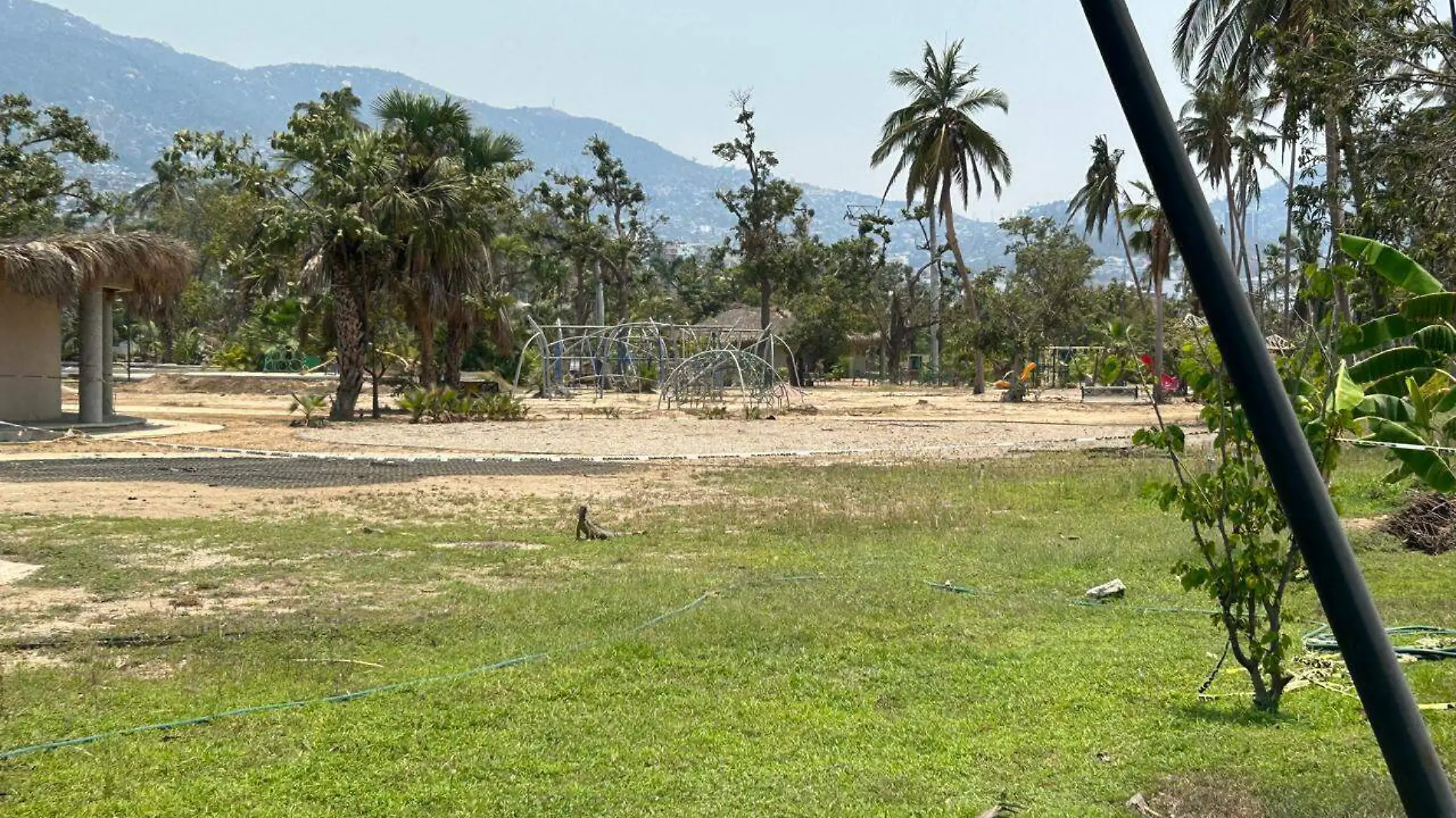 Parque-Papagayo-Reforestación