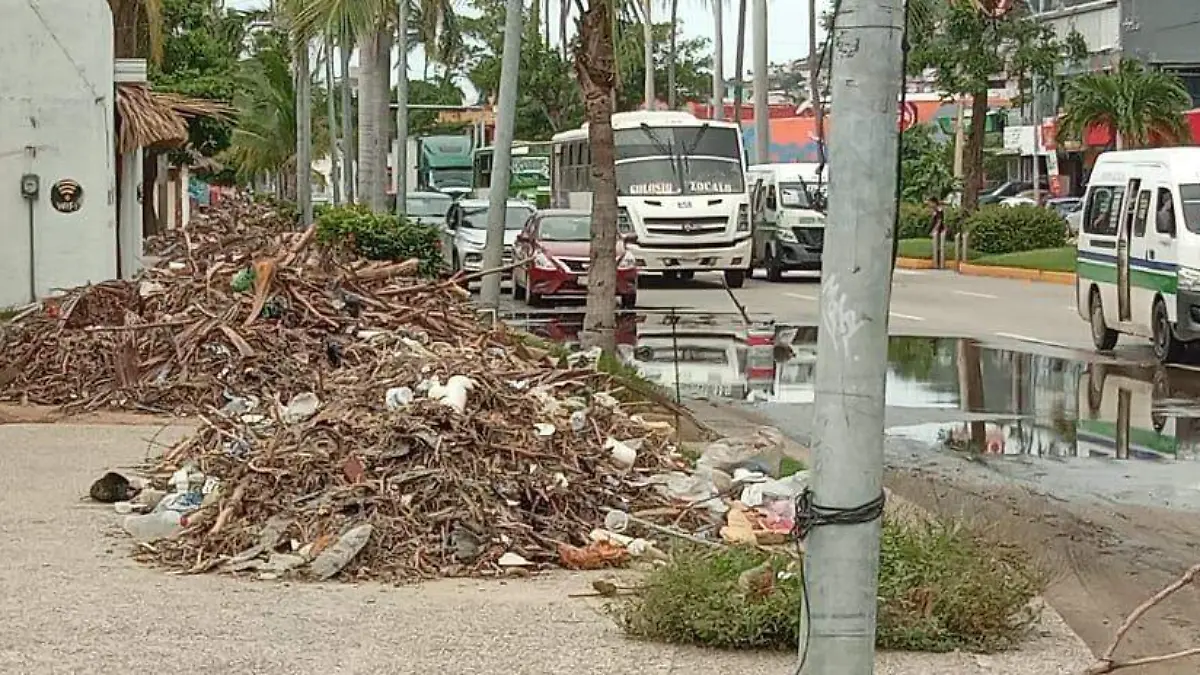 basura2