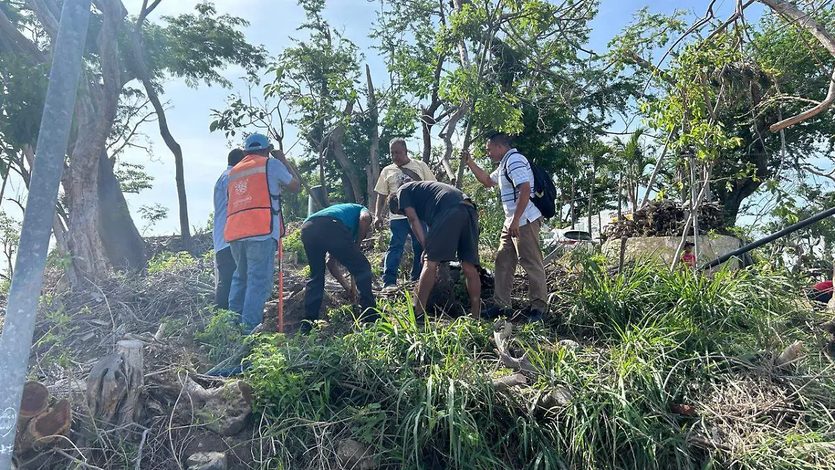 Reforestan-Parque-Acapulco