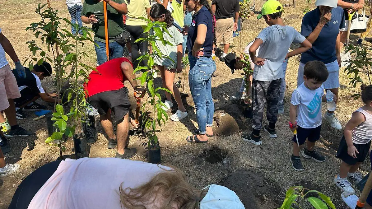 Reforestación-Acapulco