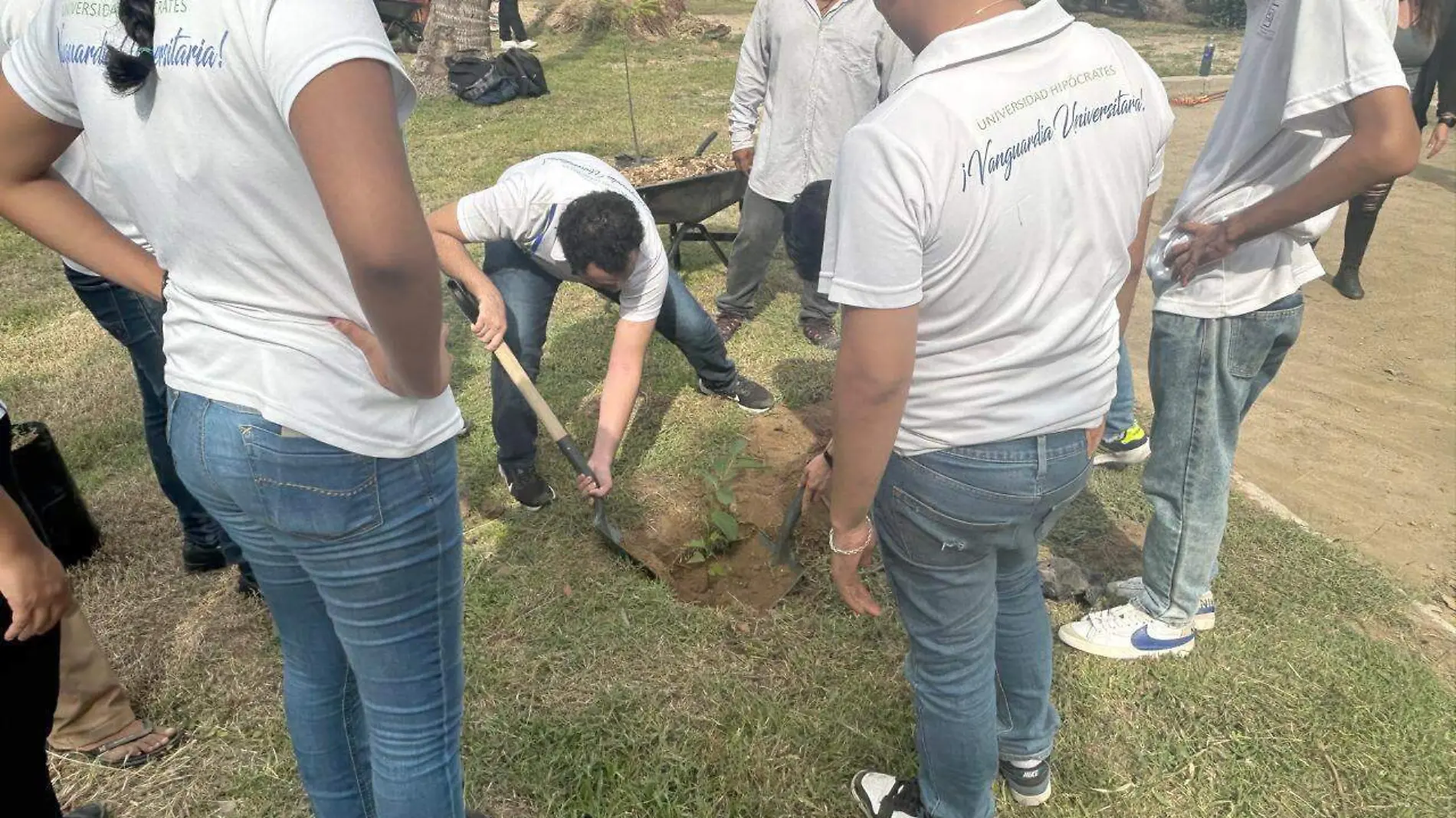 reforestacion1