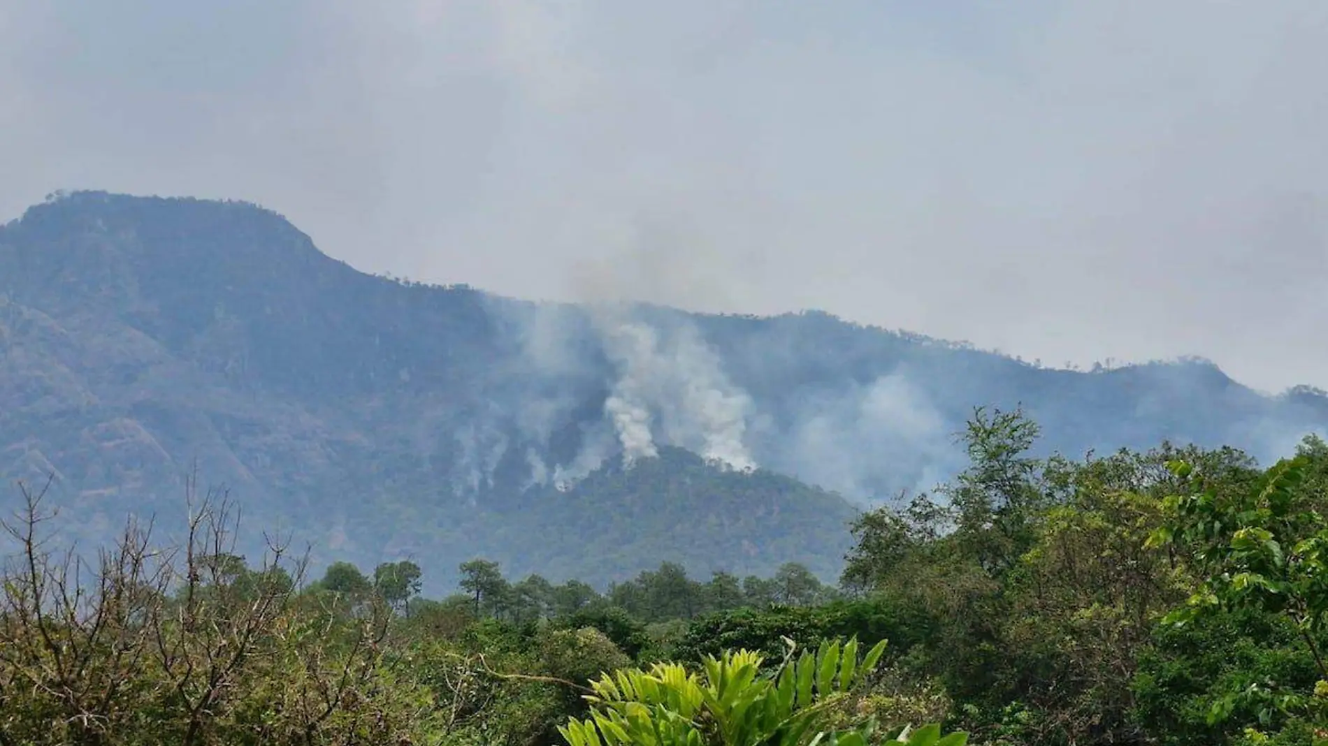 incendios-forestales-chilpancingo