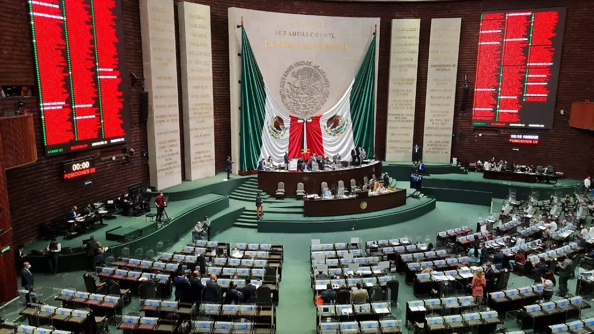 diputados marihuana LAURA LOVERA