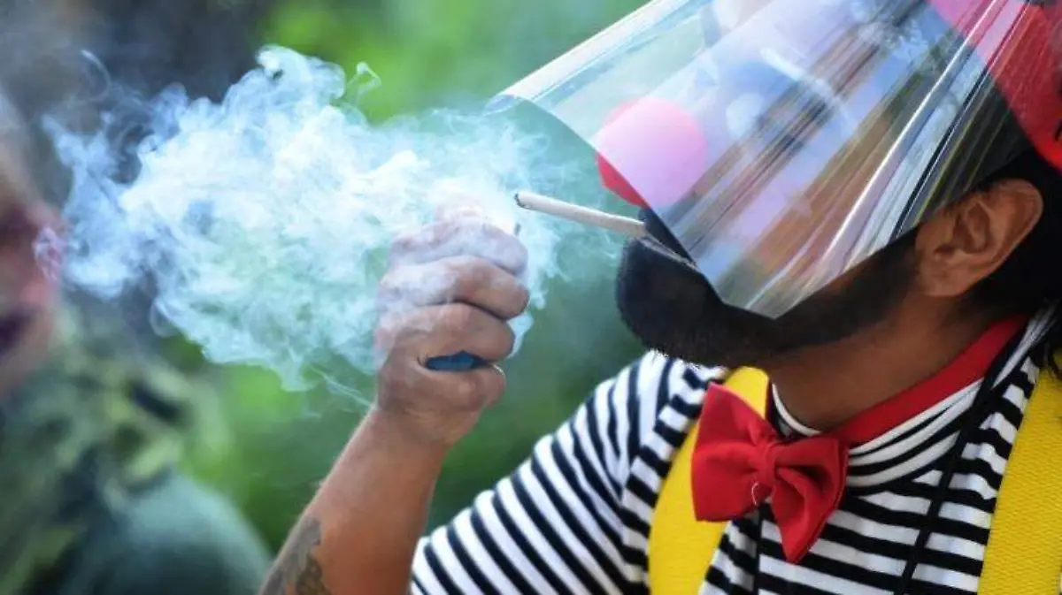 Marihuana cannabis (1)