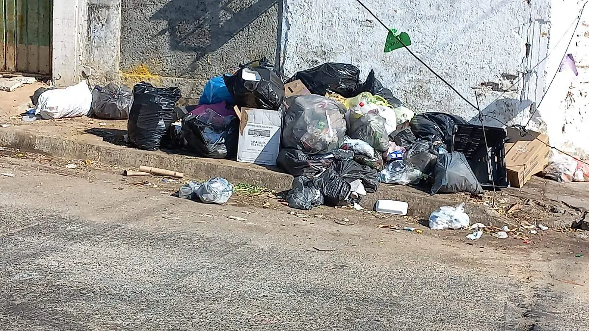 basura1