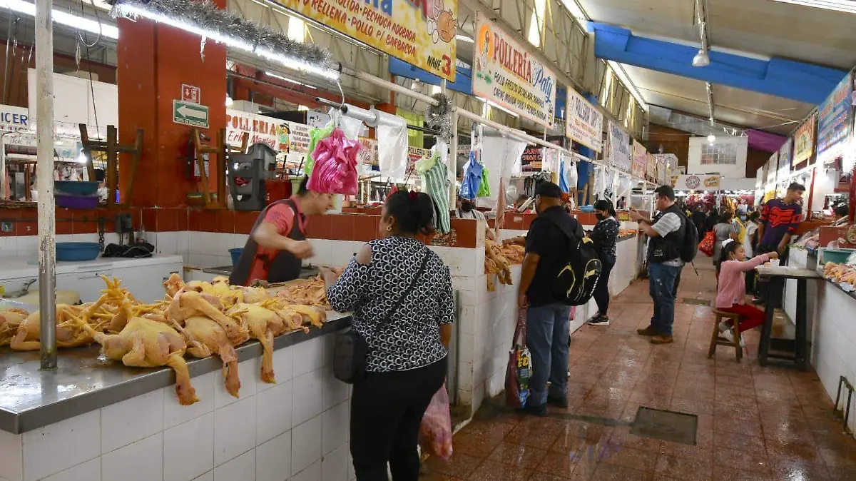 POLLO