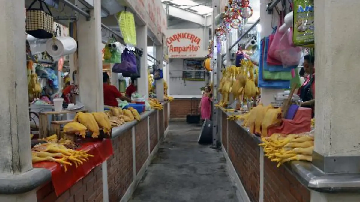 Guerrero-acapulco-local-estado-nacional-méxico-iguala-estado-acapulco-guerrero-nacional-méxico-venta-carnes-nacional-iguala