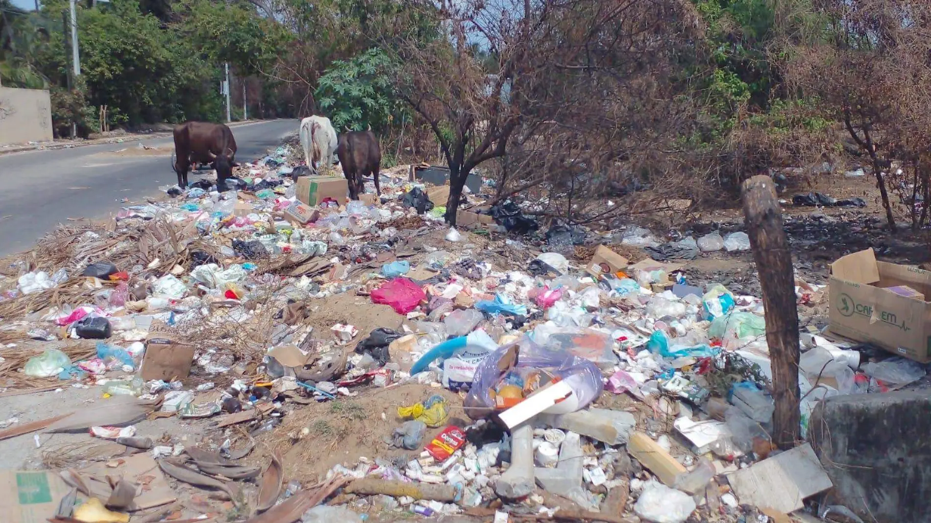 basura