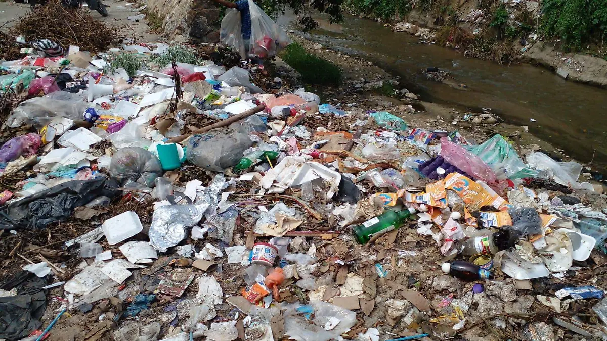 basura sabana2