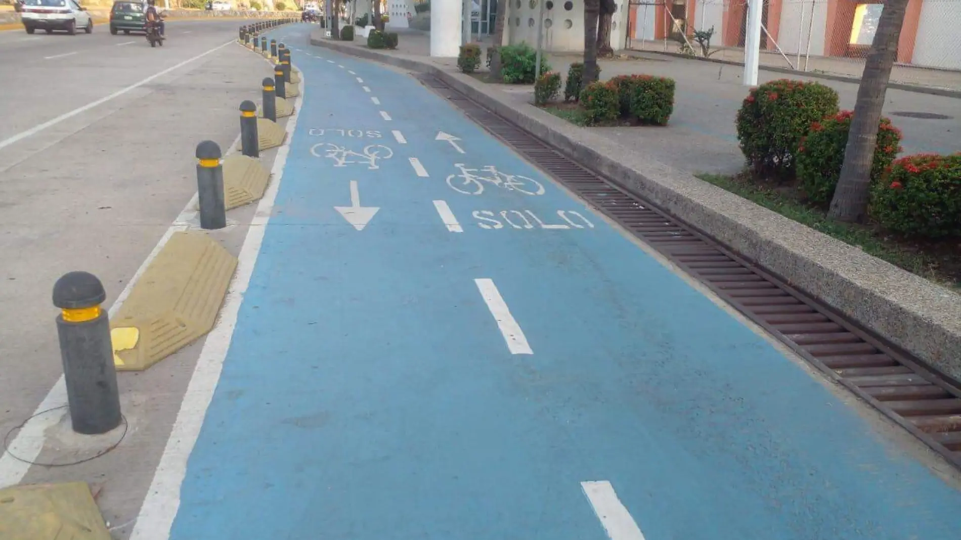 ciclovia1