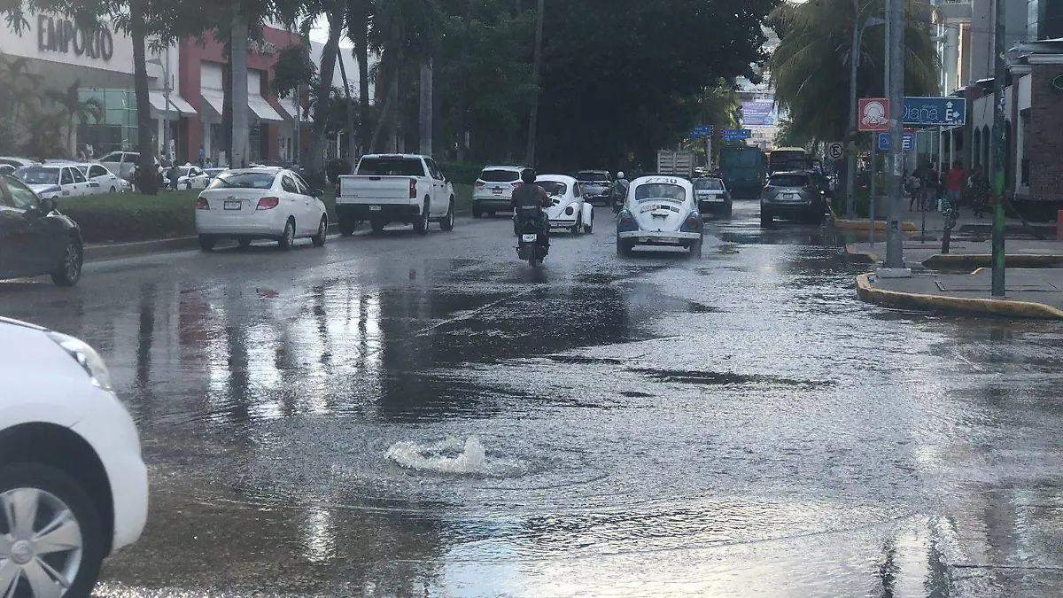 WhatsApp Image 2023-10-14 at 2.53.29 PM