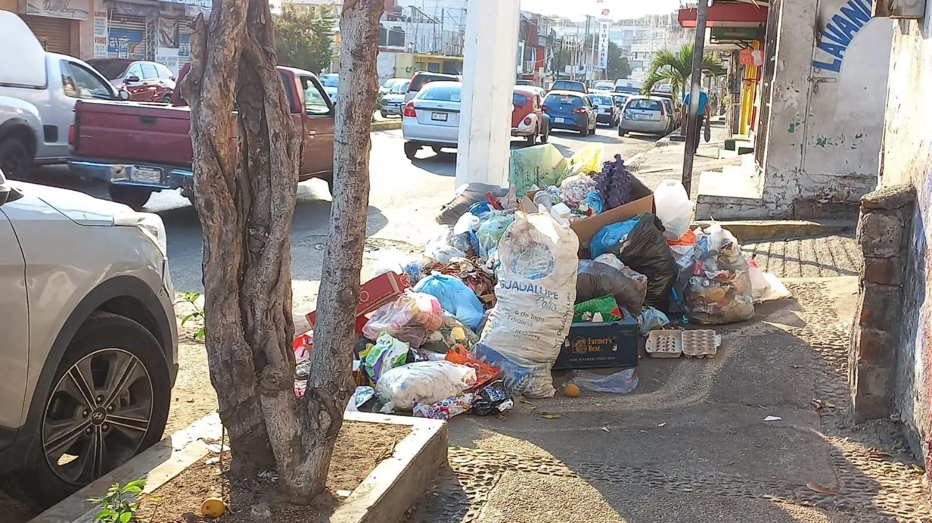 BASURA2