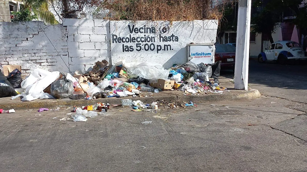 basura2