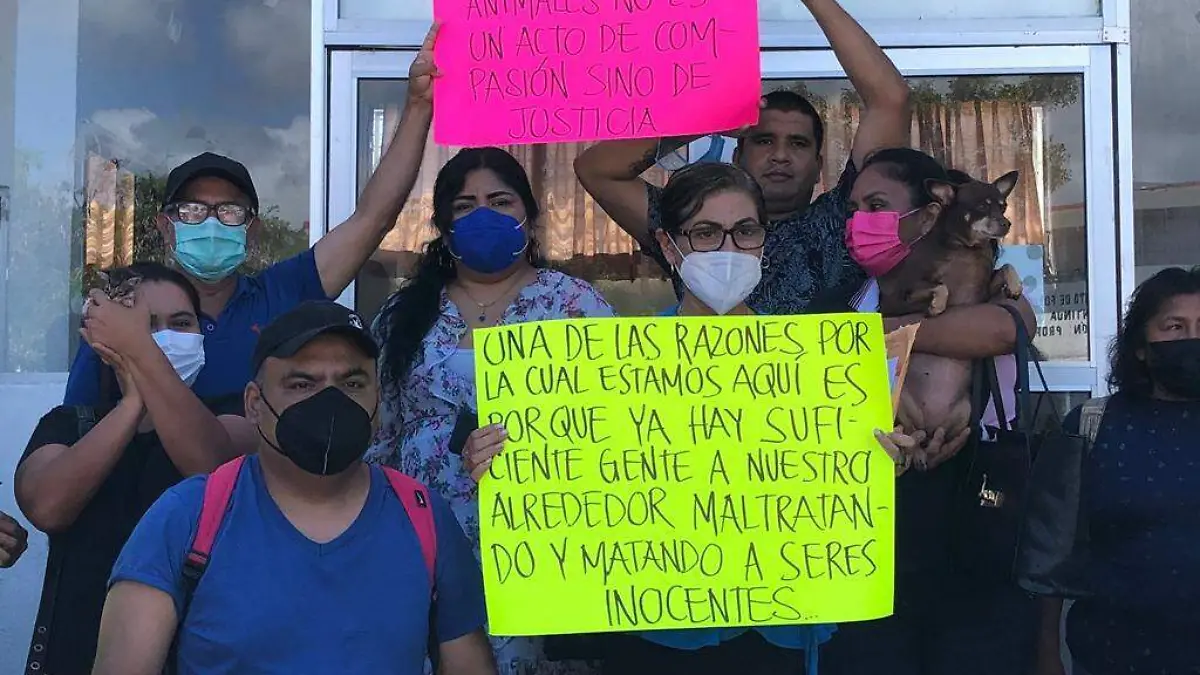 protectoras2