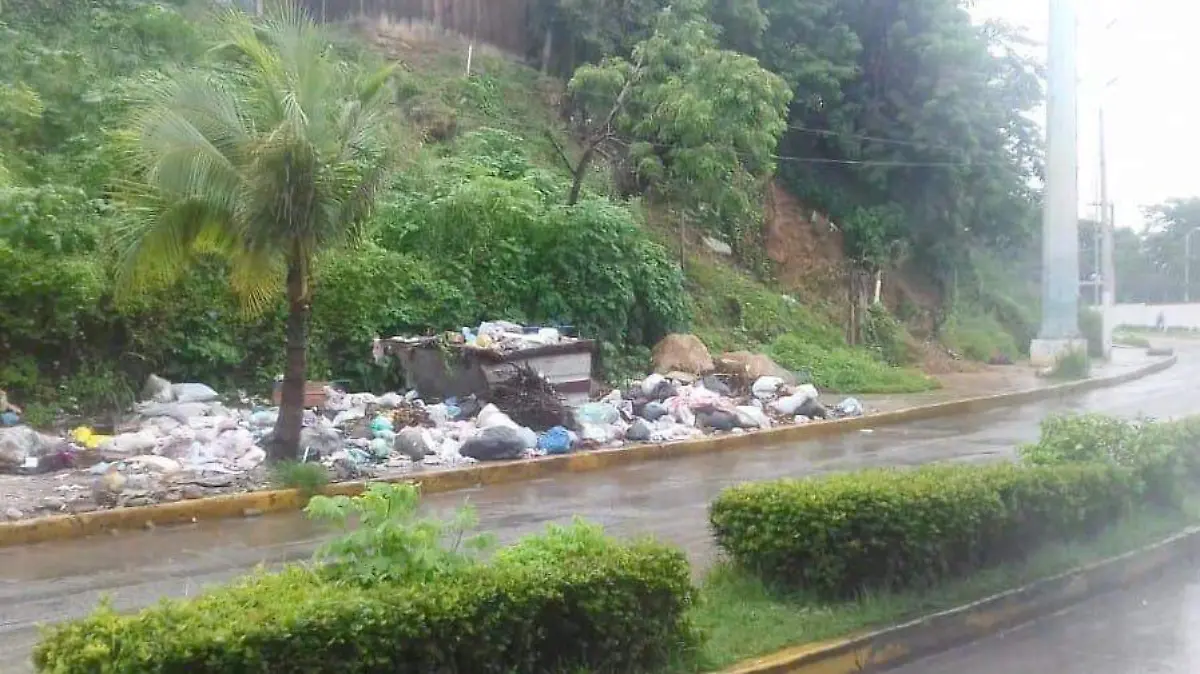 basura