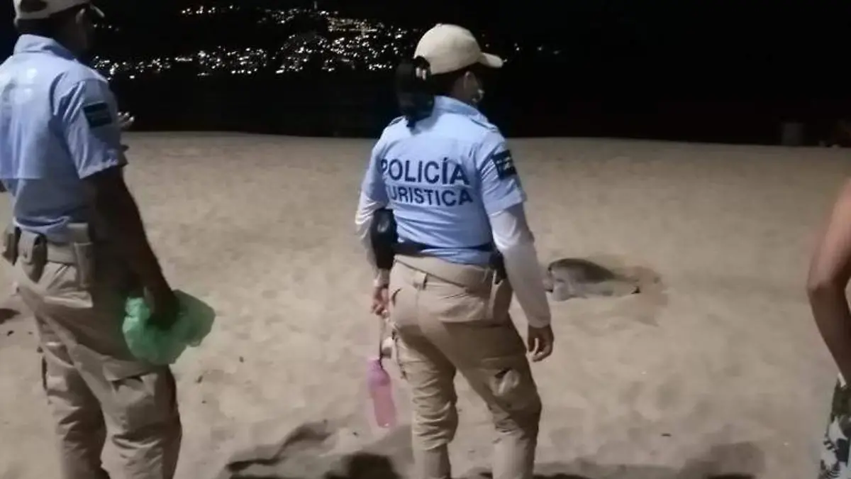 Resguardo huevos de tortuga