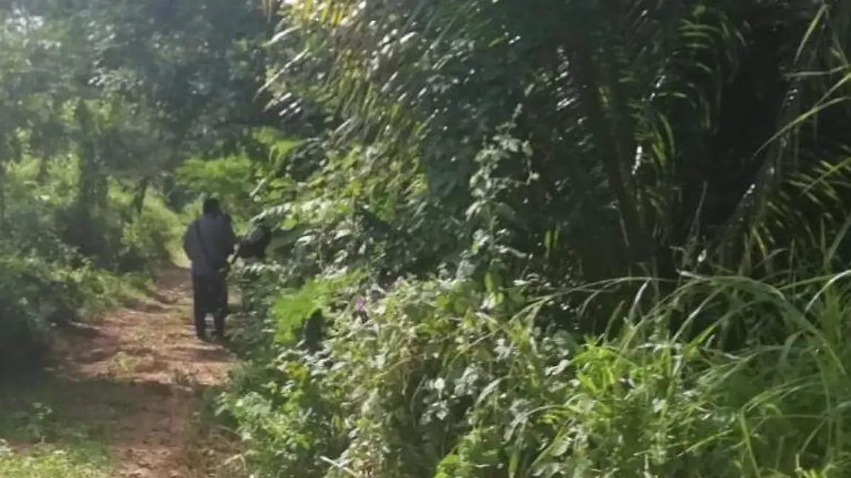 Violencia Acapulco Guerrero