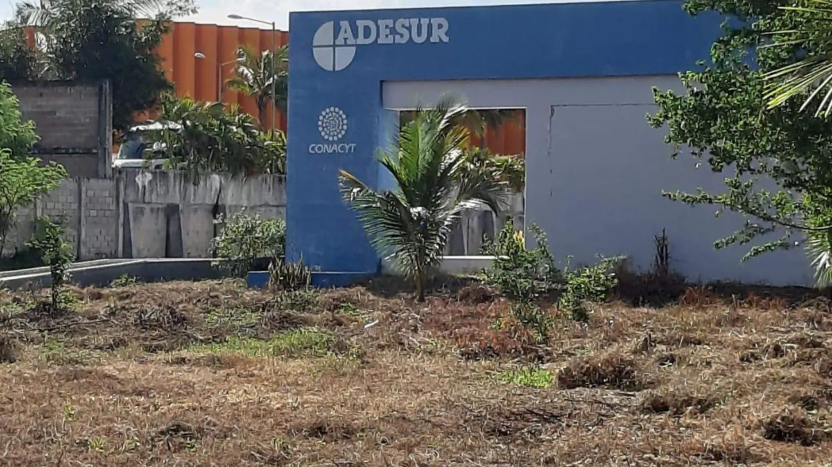 adesur