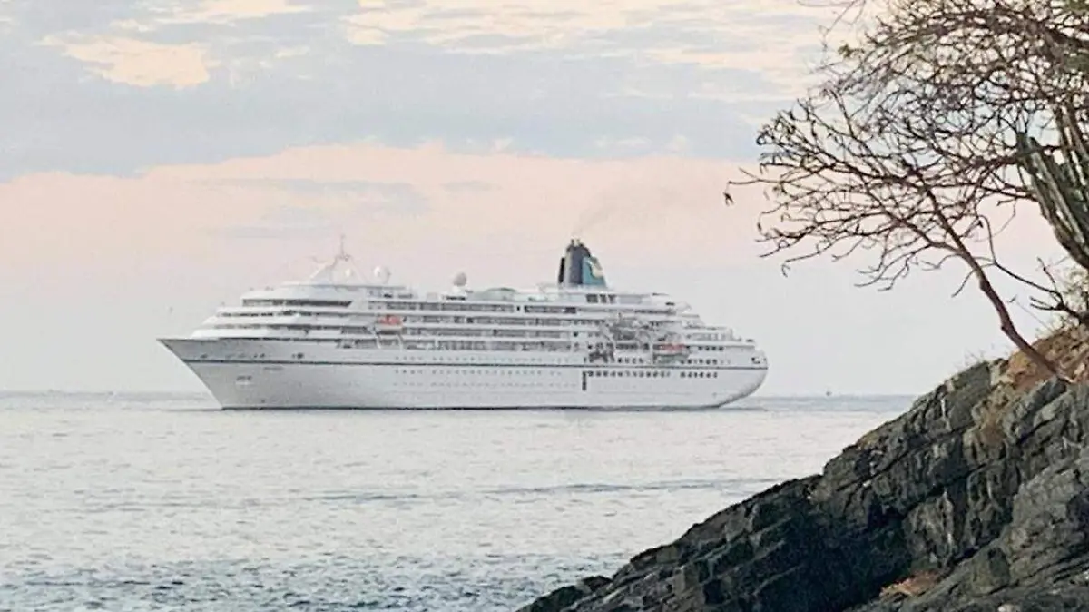 crucero amadea