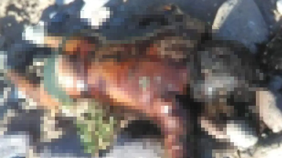 ahogado