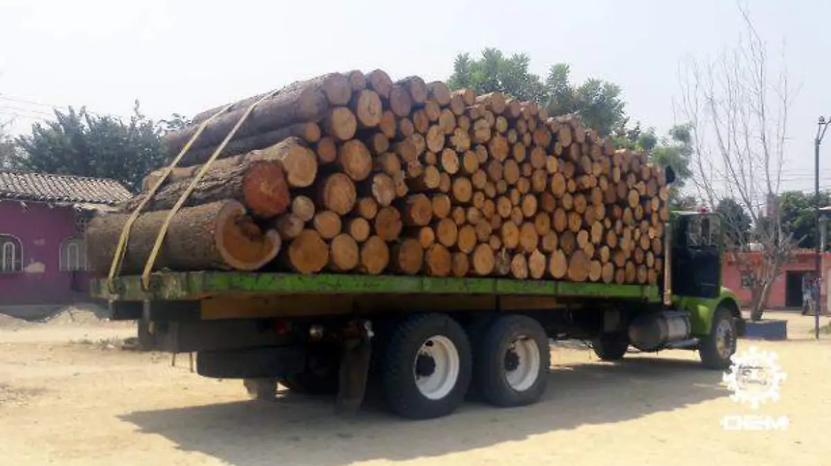 Acapulco - retienen a camion con madera