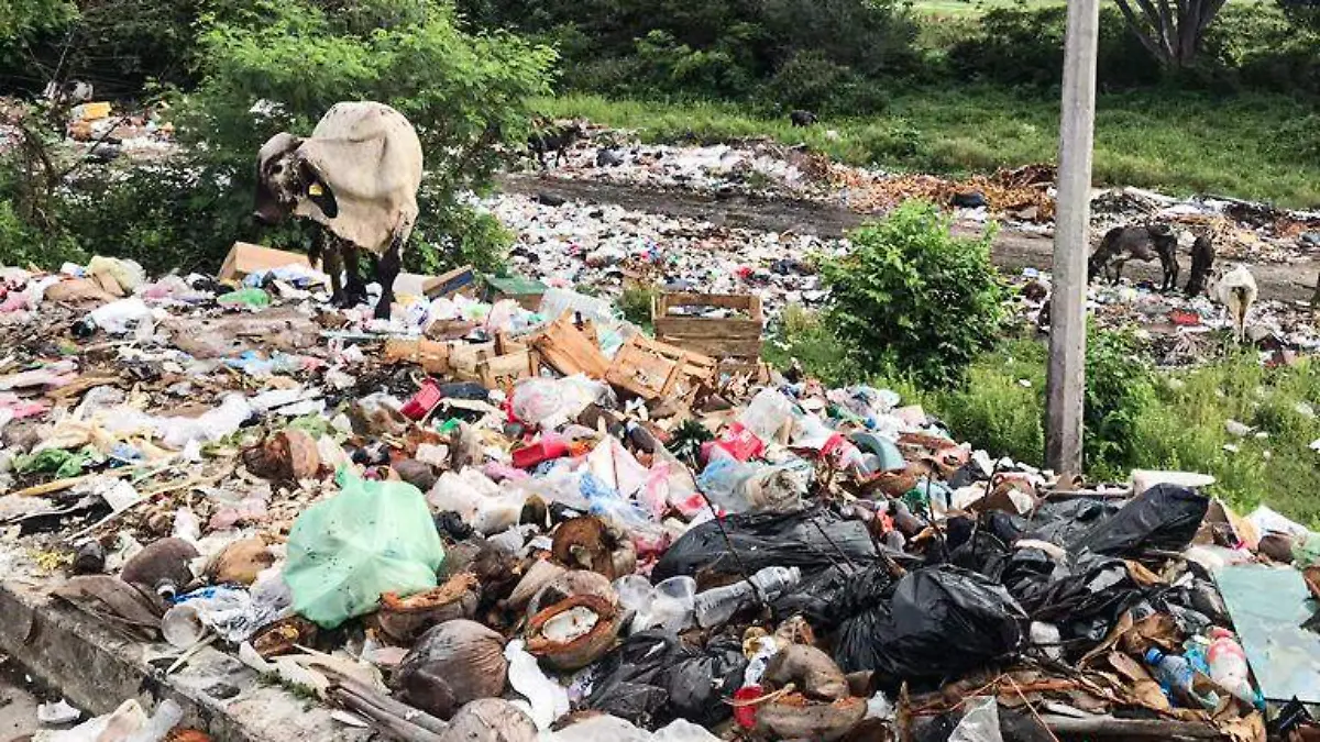 basura rinconada1