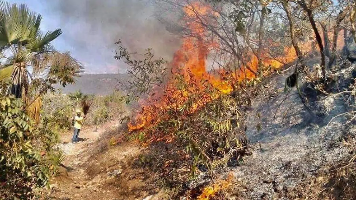 Incendio Chilpancingo