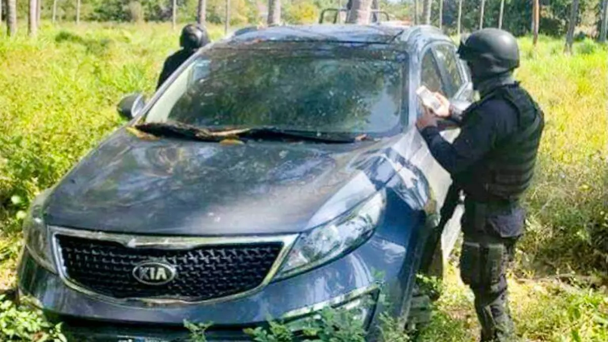 petatlán auto
