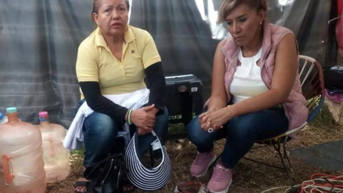 Enfermero Diputada