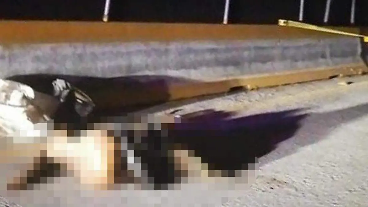 Muerto autopista sol