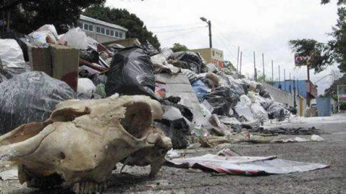 Guerrero-basura-nacional-chilpancingo-estado-local-iguala-acapulco-xalapa-nacional-contaminación-estados-república-local-iguala-contingencia-salud-483x314