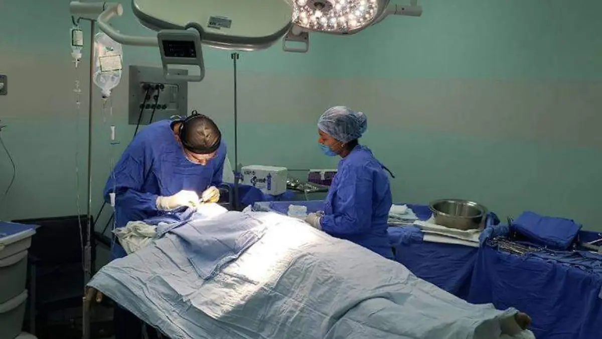 donación organos guerrero