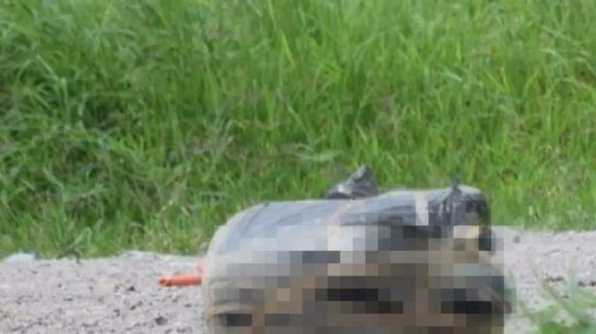 Chilpancingo - localizan cadáver decapitado