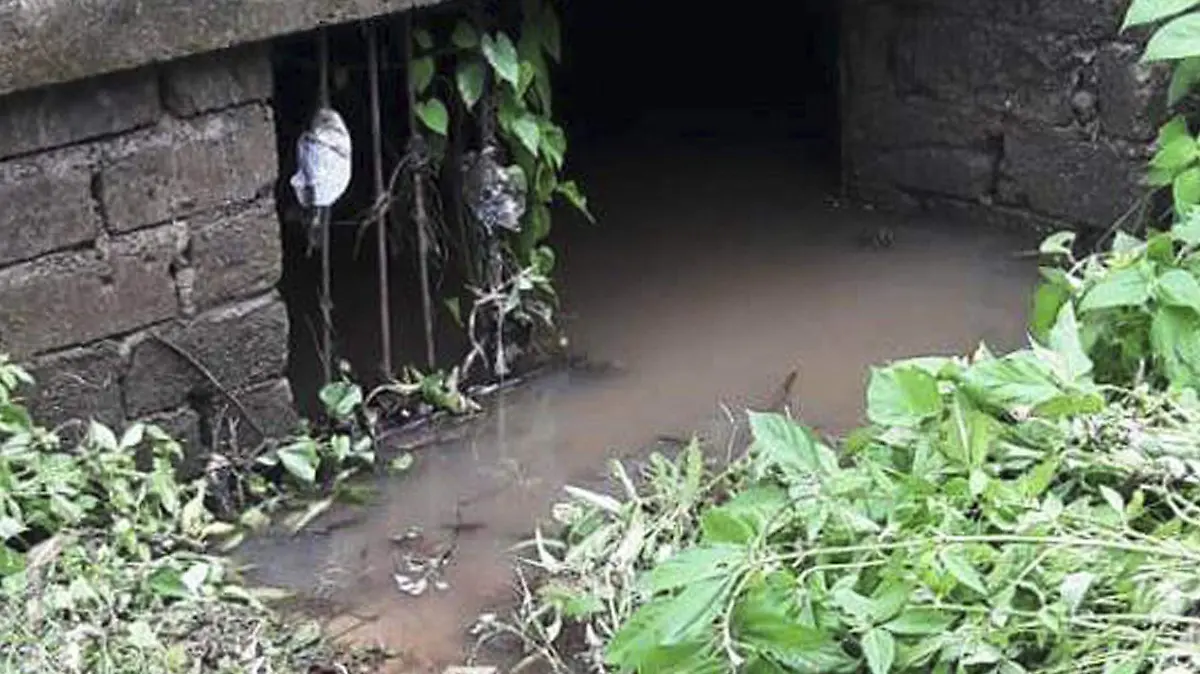 Focos de infeccion_DENGUE