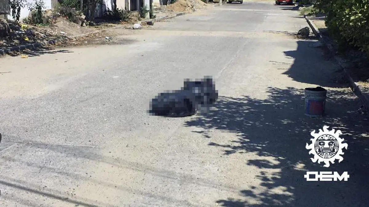 DEsmembrado en la colonia 5 de mayo