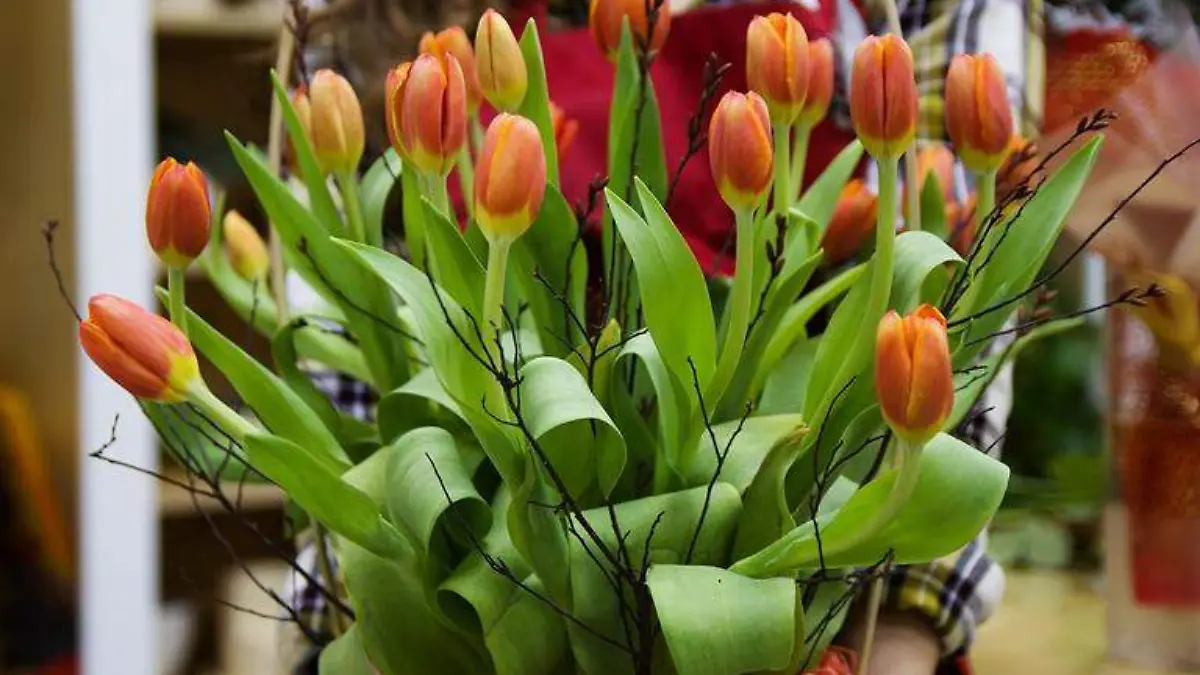 Venta Flores Acapulco
