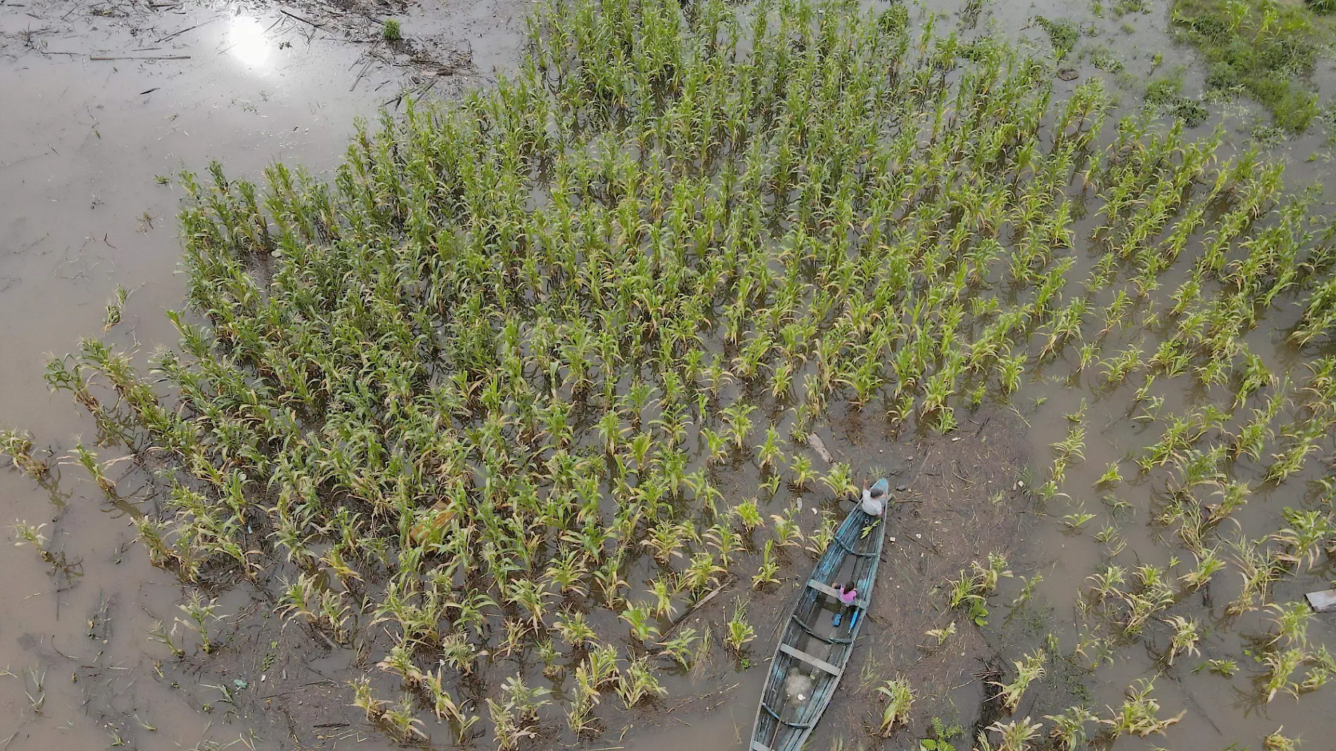 AMAZONAS