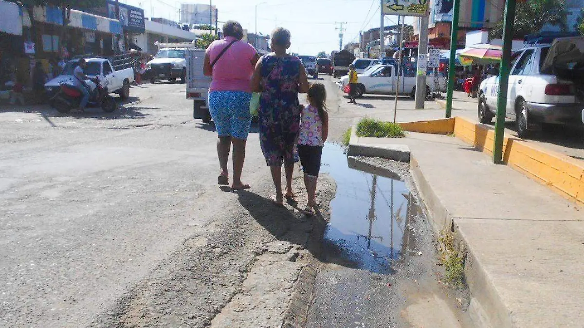 contaminacion ometepec