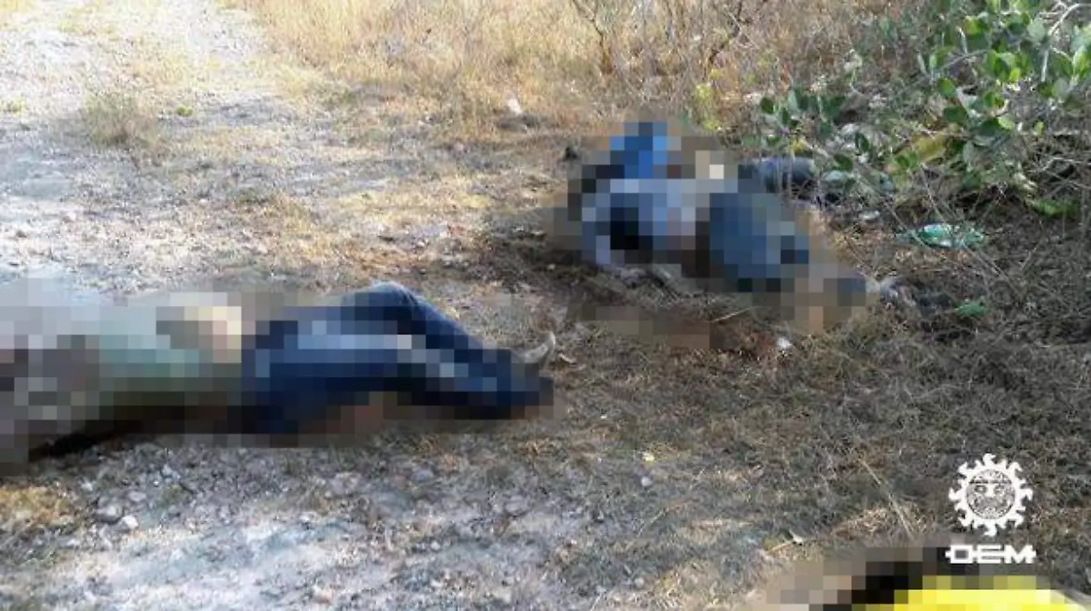 Chilpancingo - localizan cadáveres putrefactos en la carretera