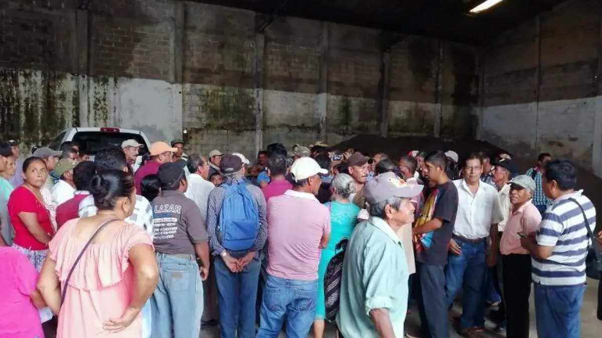 Productores Costa Grande