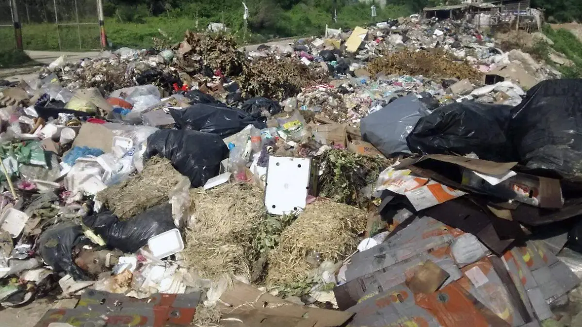 Basura2