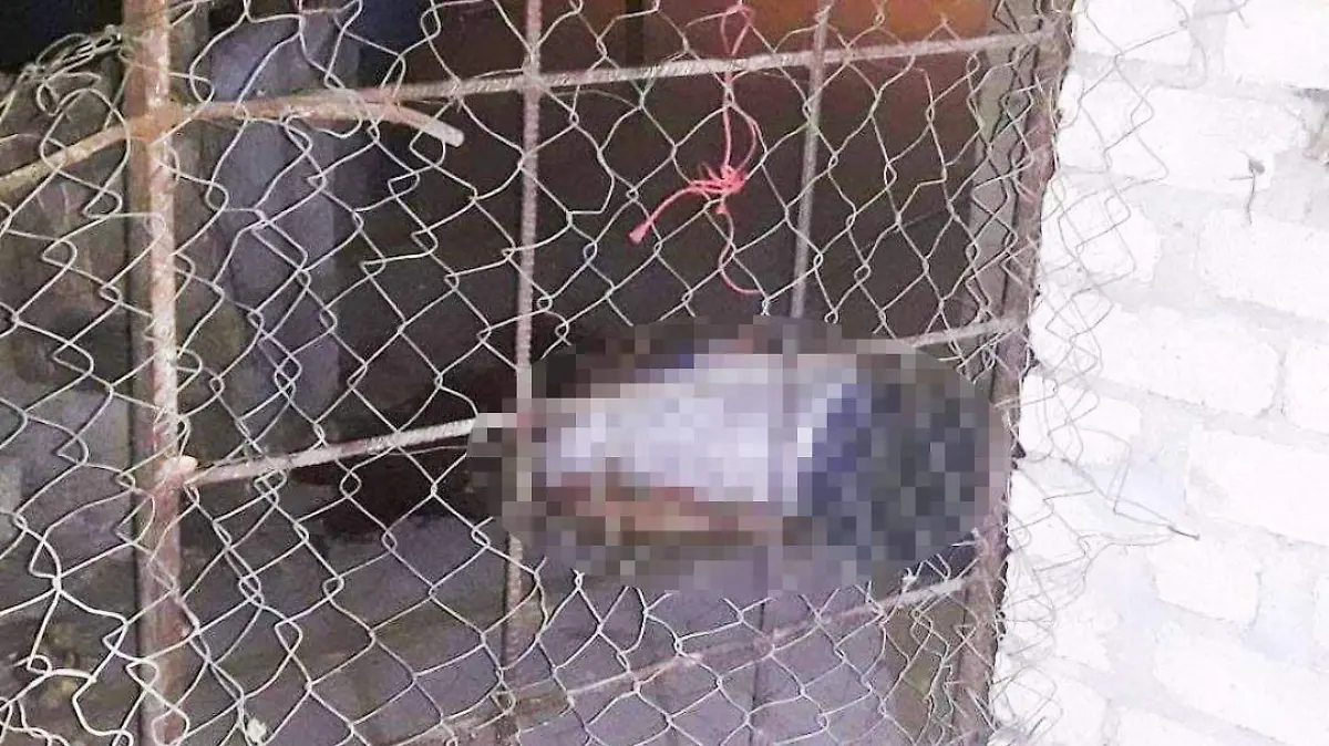 asesinado en la comunidad metlapa