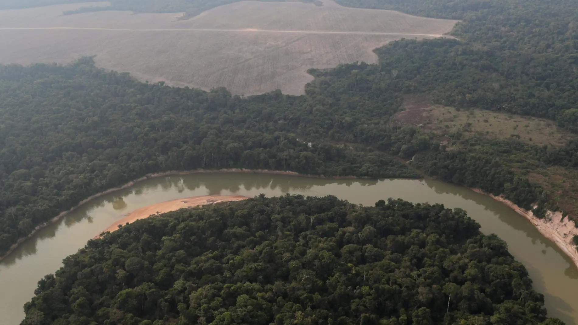 AMAZONAS