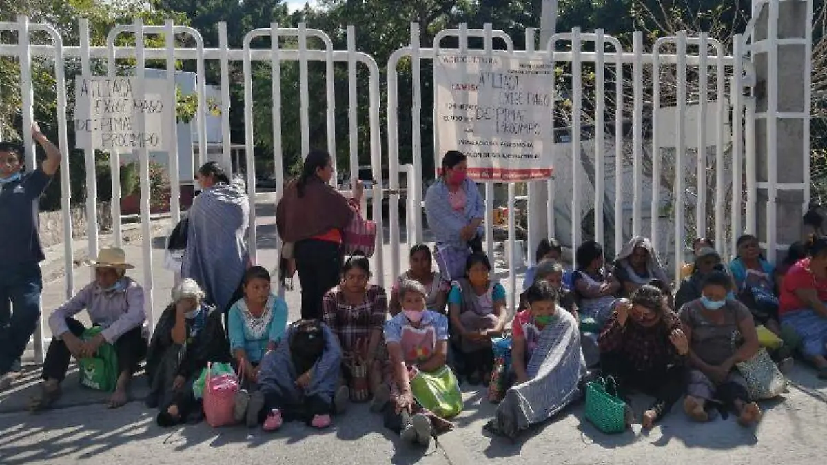 CAmpesinos chilpancingo