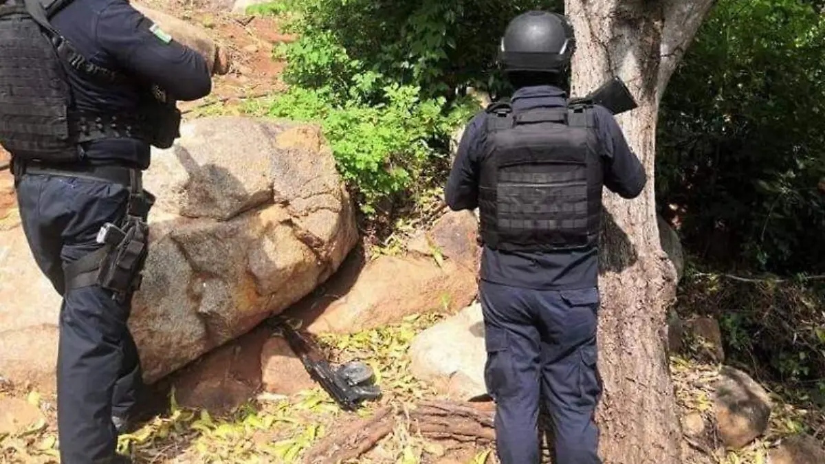 Arma Asegurada