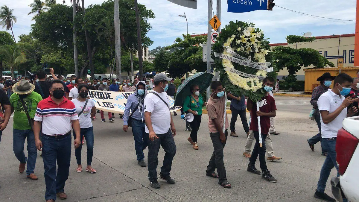 ayotzis