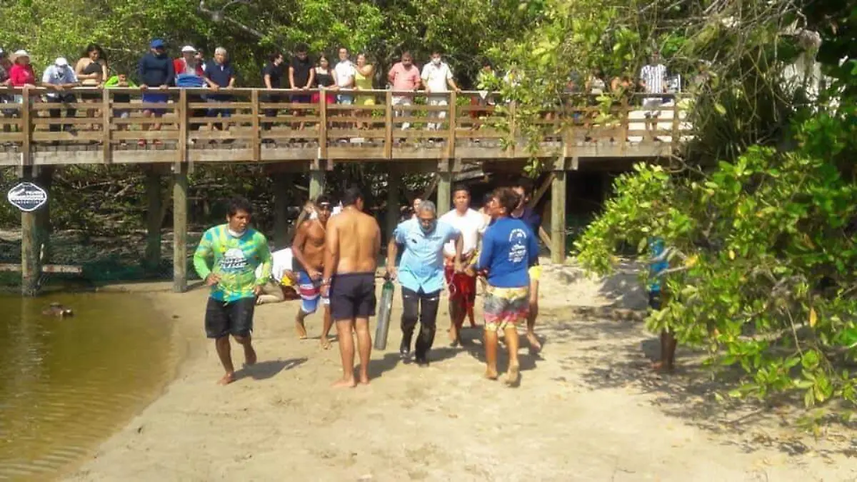 A5C51128-11D8-490A-A9AA-6750A94C2135