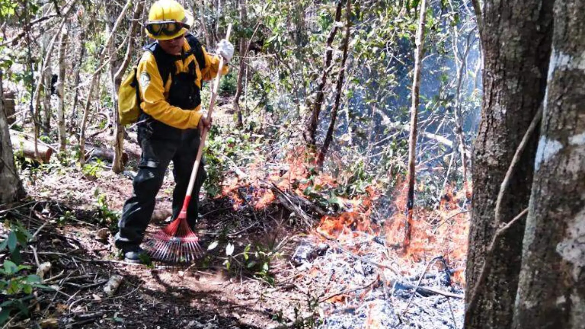 incendios